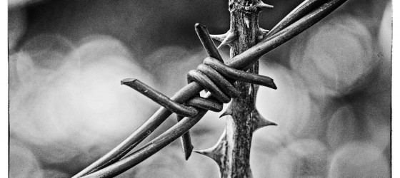 Zeolite Chimiothérapie