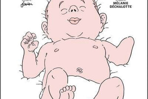 Bébés sans bras, un déni sanitaire, de Mélanie Déchalotte et Pierrick Juin,﻿﻿ éd. Les Échappés
