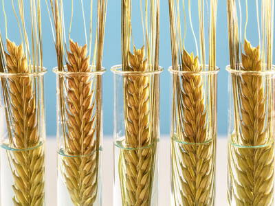 Une porte-voix de l'agro-industrie nommée au ministère de l’Agriculture