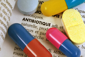Antibiotique et microbiote, un cercle vicieux qui impact le cerveau.
