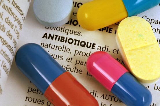 Antibiotique et microbiote, un cercle vicieux qui impact le cerveau.