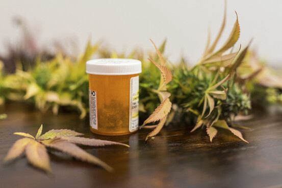 L'expérimentation de cannabis médical en France prendra fin en 2023.