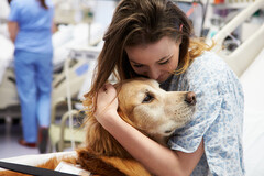 Un chien peut apporter du réconfort à des patients atteints de troubles psychiques.