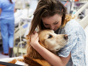 Un chien peut apporter du réconfort à des patients atteints de troubles psychiques.