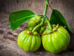 L'hydoxycitrate intervient dans le métabolisme lipidique.