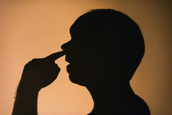 Alzheimer : se curer le nez, un geste à risque ? - Alternative Santé