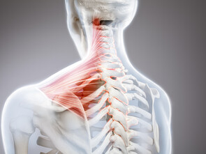 L’ostéopathie aura un rôle majeur dans cette affection.