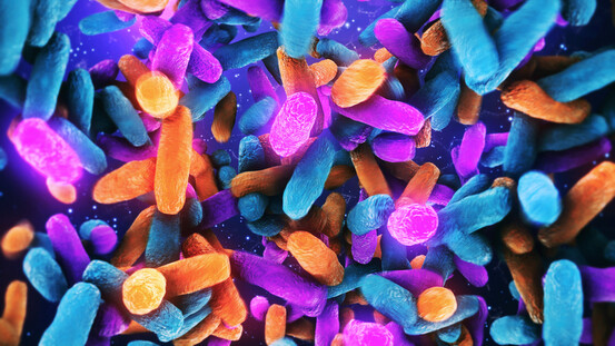 Microbiote : des anomalies responsables de démence 