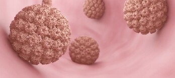 Papillomavirus : causes, symptômes, et traitements naturels  - Alternative Santé