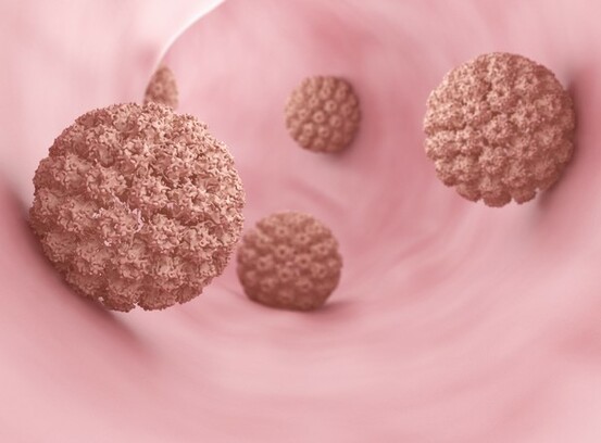 Les papillomavirus sont extrêmement contagieux.