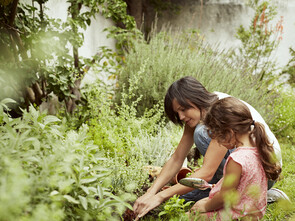 Pour traiter les plantes, pensez aux plantes