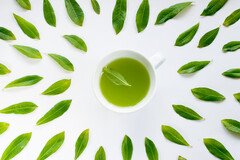Les catéchines du thé vert et le resvératrol semblent être un duo gagnant pour préserver nos neurones.