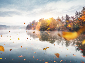 Préparer l'automne avec les médecines traditionnelles