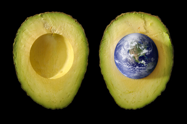 L'avocat, bon pour la santé? Pour la planète ?