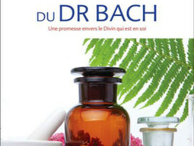 Fleurs de Bach : élixirs de santé