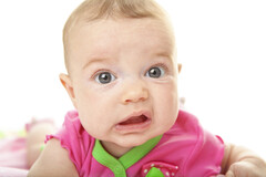 L'enseigne a couvert les piles de la substance la plus amère du monde.