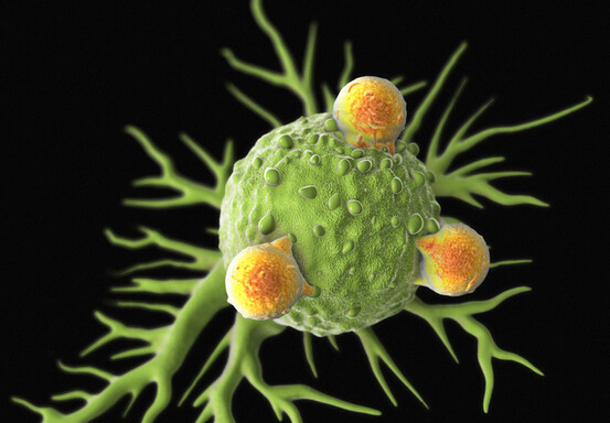 Quelle est la relation complexe entre cancer, microbiote et immunité ?