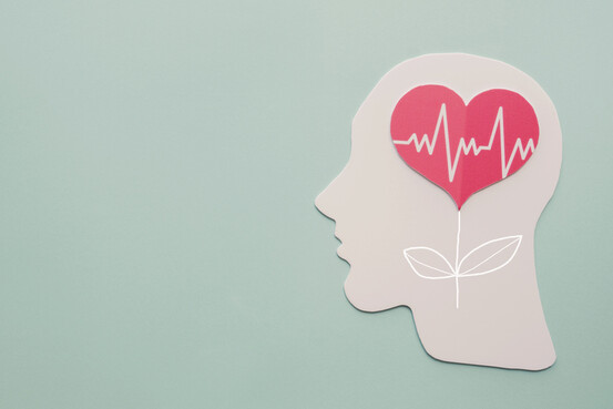 Il existe de nombreux liens entre cerveau et santé cardiovasculaire 