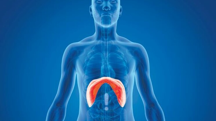 Un abaissement du diaphragme d’environ un centimètre représente 500 ml d’air dans les poumons.