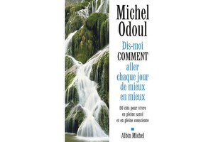 Dis-moi comment aller chaque jour de mieux en mieux, de Michel Odoul,  éd. Albin Michel