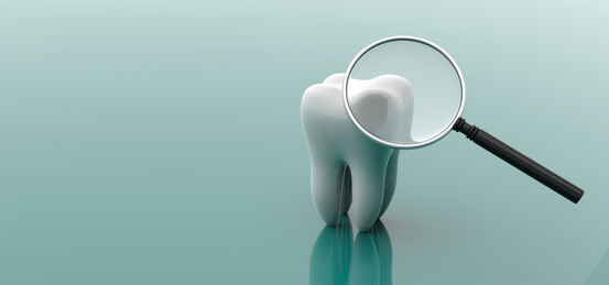 Les dents sont finalement un peu le baromètre de notre santé.