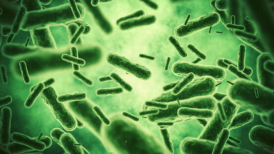 L'argent colloïdal a montré un effet antibactérien sur Escherichia coli notamment.