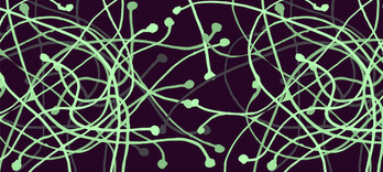 Faites la paix avec les diverticules - Alternative Santé