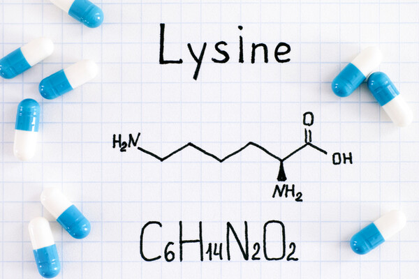 La Lysine, potentiel futur traitement naturel du Covid ?