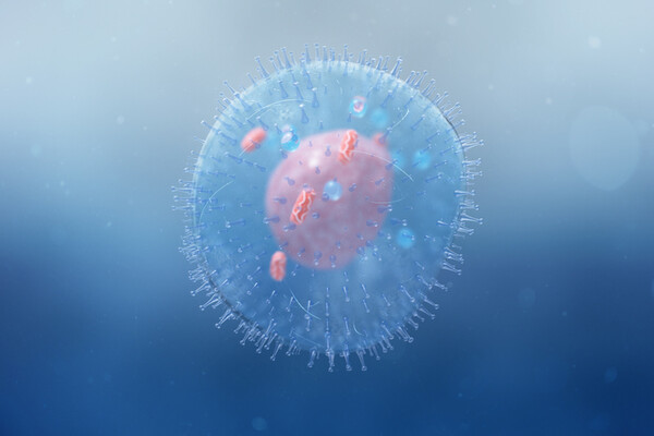 La plupart des médicaments perturbent les mitochondries.