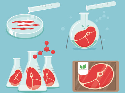 Des cellules de viande, plongées dans un milieu nutritif pour se reproduire