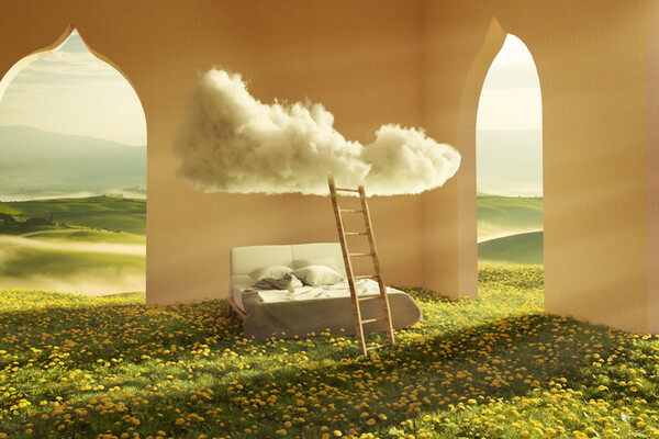 Rêves ancestraux et conseils avisés