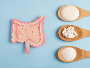 L.fermentum : un probiotique qui aide à la perte de poids