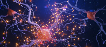 Alzheimer, sur la piste des ondes - Alternative Santé