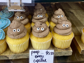 Greffes fécales maison : des risques importants pour votre santé