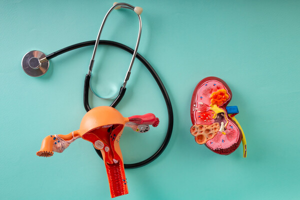 Endométriose : des causes qui dééfient l'allopathie