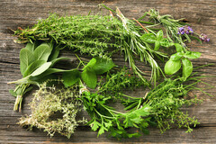 Des herbes aromatiques à chaque repas