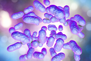 La bactérie Prevotella, parfois cause d'infections respiratoires