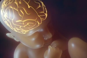 La naissance par césarienne impacte-t-elle le développement du cerveau ?
