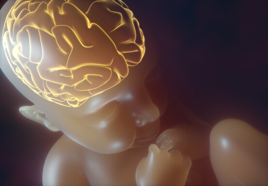 La naissance par césarienne impacte-t-elle le développement du cerveau ?