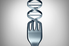 Nutrigénomique : protéger son ADN des mutations depuis son assiette