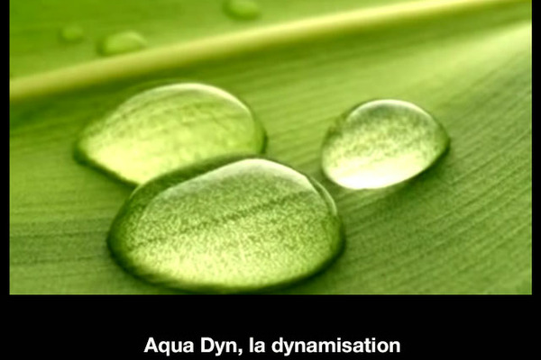 Aqua Dyn, la dynamisation 