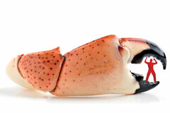 bien vivre après un diagnostic du cancer