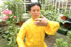 Maître Zunlin Zhang