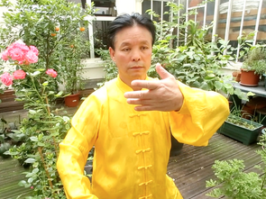 Maître Zunlin Zhang