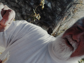 Dr Yves Réquéna pas hésité à planter une aiguille chauffée dans le bras de notre reporter à la page acupuncture et moxa