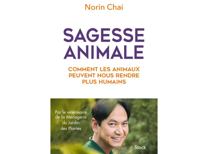 Sagesse animale, comment les animaux peuvent nous rendre plus humains, de Norin Chai