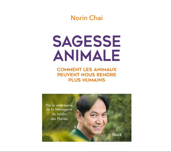 Sagesse animale, comment les animaux peuvent nous rendre plus humains, de Norin Chai