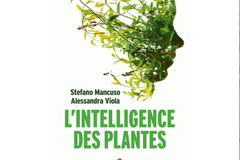 L’intelligence des plantes, de Stefano Mancuso et Alessandra Viola