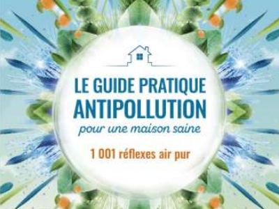 Le guide pratique antipollution pour une maison saine, d’Isabelle Pacchioni