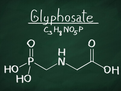 La formule chimique du glyphosate, principe actif du Roundup